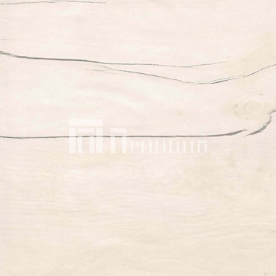 таксония светлая