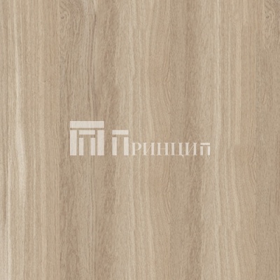 Дуб Рокпайл