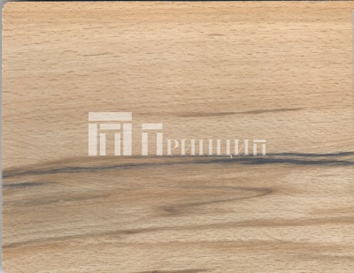 9006 тирольский бук