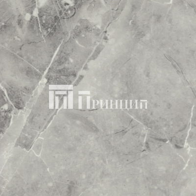 Тарсис белый