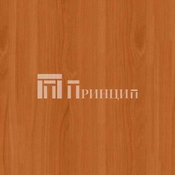 Вишня Оксфорд