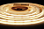 Лента светодиодная COB, 2400 LED, 12V, 70W-5м, 8 мм, IP20, теплый белый, AQ