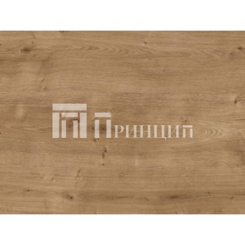 дуб арлингтон