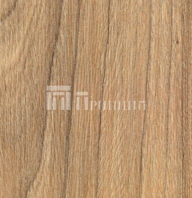 Швейцарский вяз