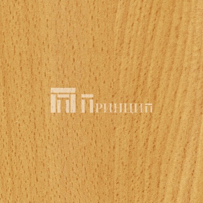 Бук Рейнланд