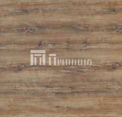 Славянский дуб