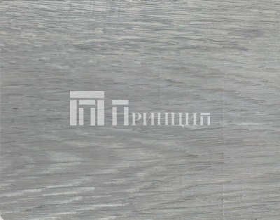 9001 дуб хоккайдо