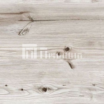 Бискайская Сосна