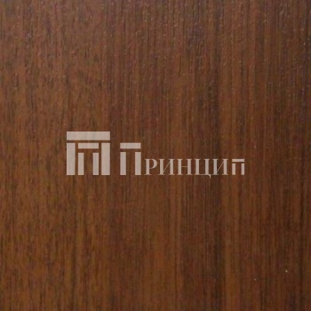 Ноче Экоо