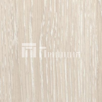 Дуб Атланта