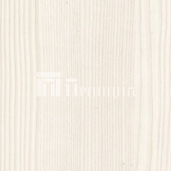 Бодега светлая