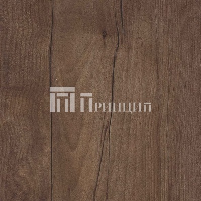 Таксония