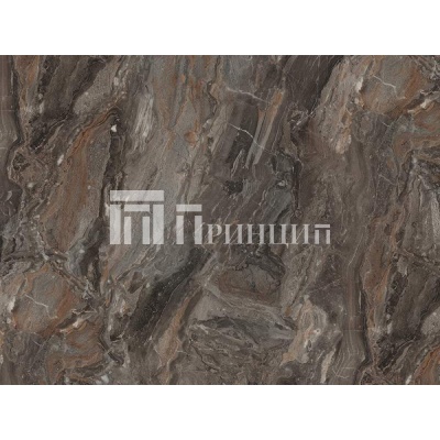 чиполлино черная