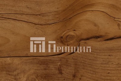 Таксус