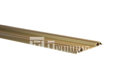 Трек нижний золото глянец