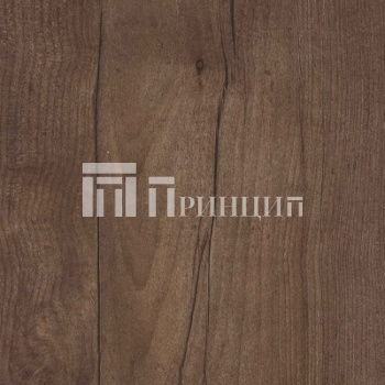 Таксония