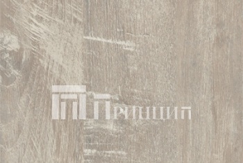 беж сосна фронтер