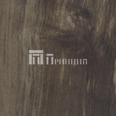 Береза сандал 521