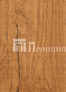 Старая сосна