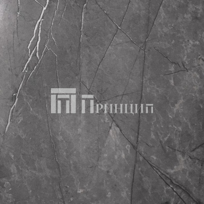 Серый каспий