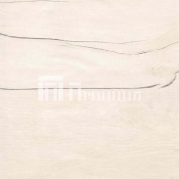 таксония светлая