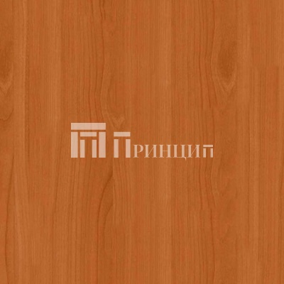 Вишня Оксфорд