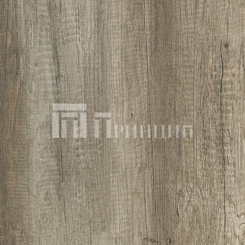 Дуб Каньон Монумент