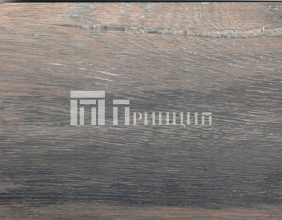 9004 дуб тренто