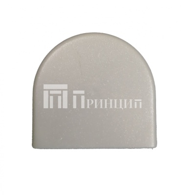 zaglushka_na_korpus_styazhki_rafix_20_serebristaya_263_59_915