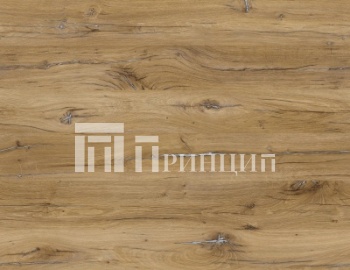 Дуб флагстафф