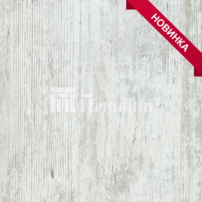 Сосна Монрепо