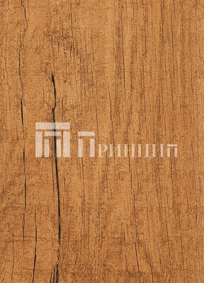 Старая сосна