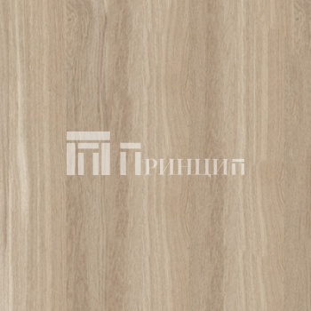 Дуб Рокпайл