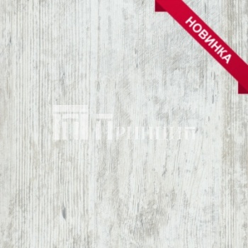 Сосна Монрепо