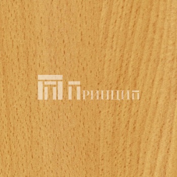 Бук Рейнланд